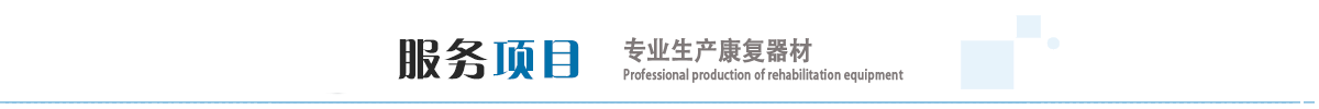 服务项目